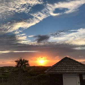 Meet your Posher, Ally